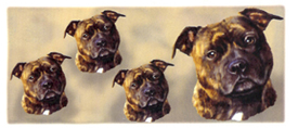 Dog Wrap - Brindle Staffordshire Terrier